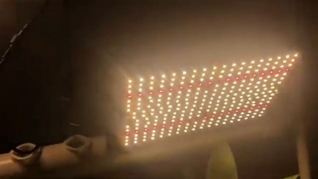 EnFun светодиодный светильник полного спектра 240 Вт