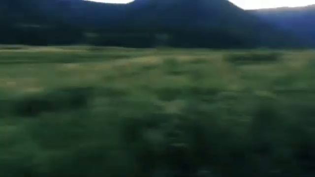 Поход в туалет в сумерках🤣