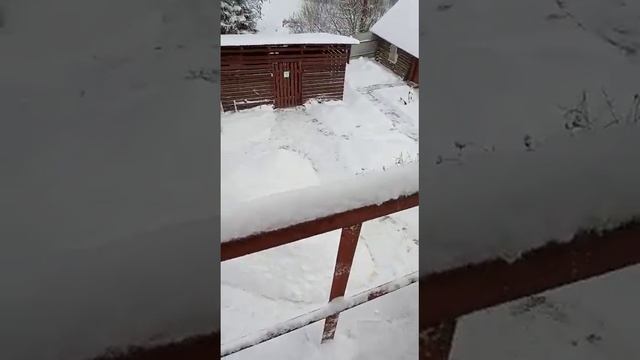 Снег в Гриблянке