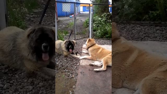 24 июня 2017 г.