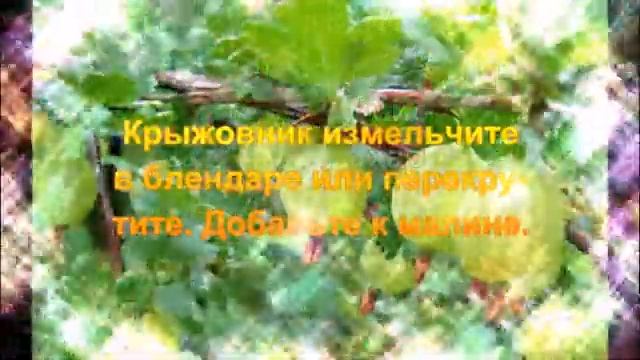 ПОТРЯСНО! МАЛИНА ПЕРЕТЁРТАЯ С КРЫЖОВНИКОМ !