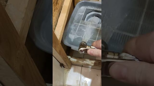 Туалет  для кошек.(Смывной)