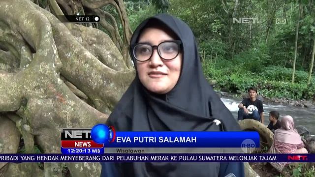 Akar Pohon Koang yang Hits jadi Tempat Foto di Mojokerto - NET12