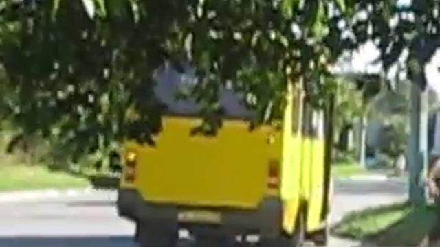 Зустріч 2х БАЗ-2215 "Дельфін" ВС0586АА/ВС0640АА