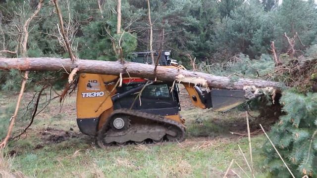 Easiest Way To Clear NEW Food Plots, Pine/Cedar Clearing