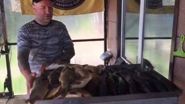 Улов Сергея с основного водоема Савельево-2