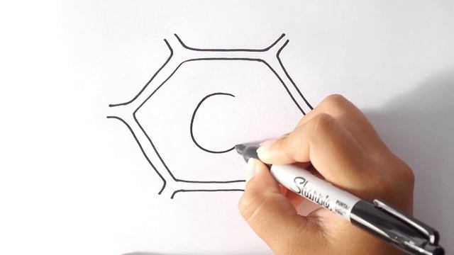 ¿Cómo Dibujar una CÉLULA VEGETAL? 🔬🦠 Dibujo de una CÉLULA VEGETAL Paso a Paso 🧫