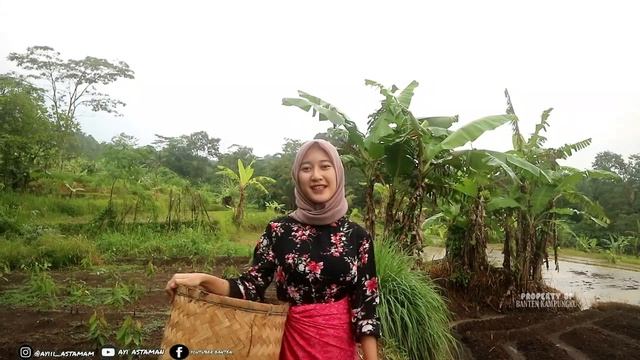 TANGGUH..!! Gadis Desa Cantik Panen Buah labu Di pedesaan Indonesia