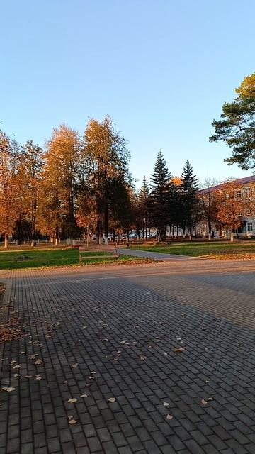 Жуковка. 18 октября 2024