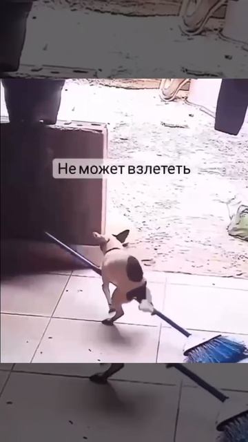 не заводится