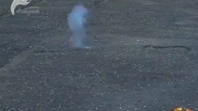 FT1013 Оборотень