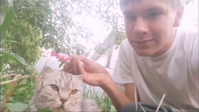 1000010512.mp4
