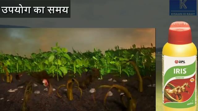 UPL Iris Herbicide for Soyabin Crop | भारतीय खरपतवार नाशक दवाई