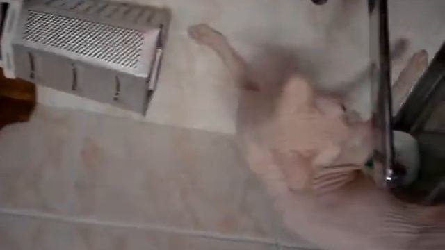 Видео от Татьянки