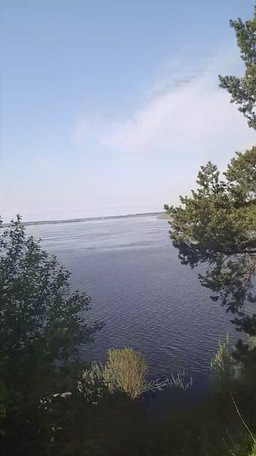 VID_20240614_081142