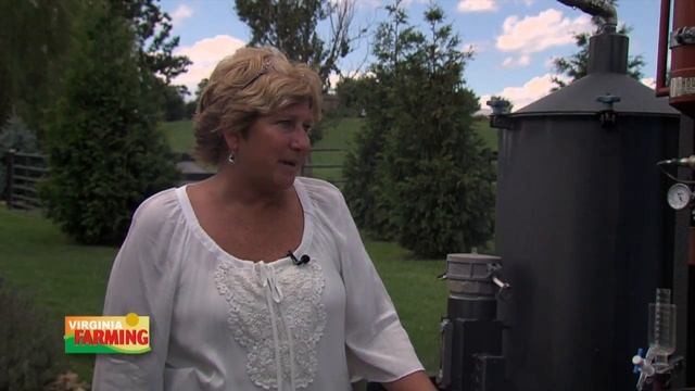 Virginia Farming: Lavender