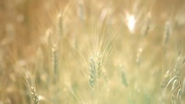 Видео музыка Баллада