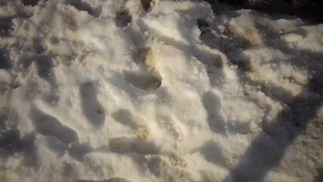 Обзор участка