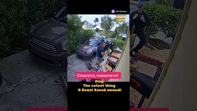 Попугай орёт благим матом