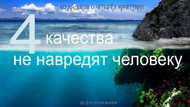 4 качества не навредят человеку
