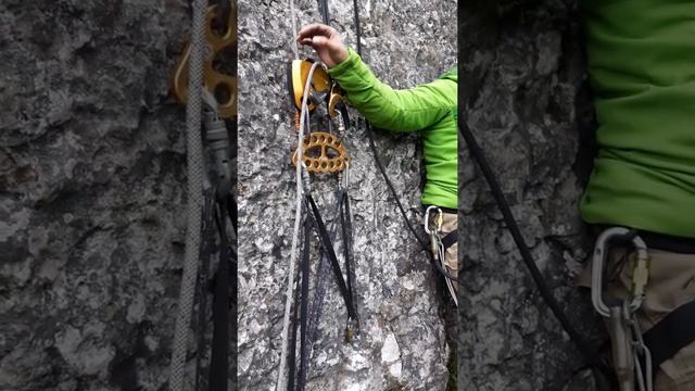 Petzl Maestro 2017