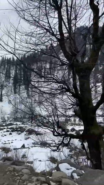 Manali Snowfall.. Solang Valley Full Of Ice.. Horse Riding To Solang Valley