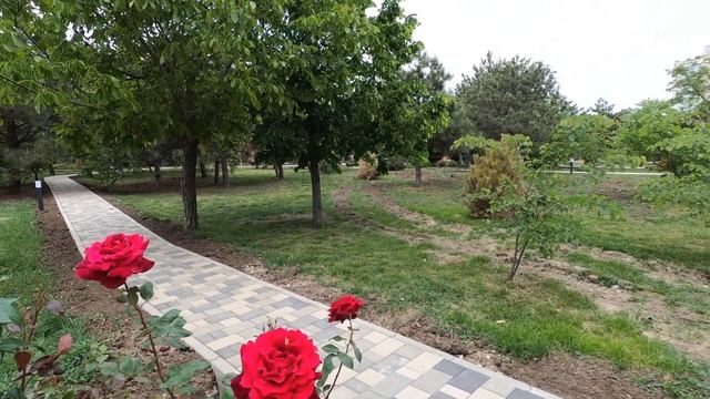 11 05 2024  Анапа Ореховая роща