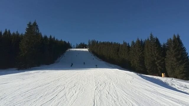 Маша - опытный лыжник