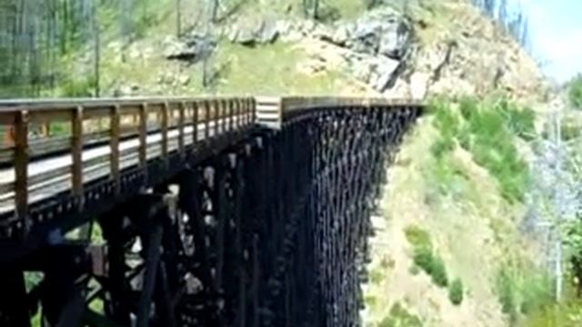 Looking at all the wood in trestle no. 4 on the Kettle Valley trail, July 29