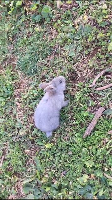 Путешествуйте выгодно
rosbillet.ru с праздником