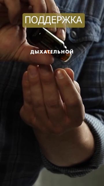 Орегано - популярная специя поддерживает пищеварение и дыхательную систему   #shorts