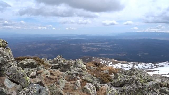 Връх Купена, пл. Витоша | Kupena Peak, Vitosha mountain