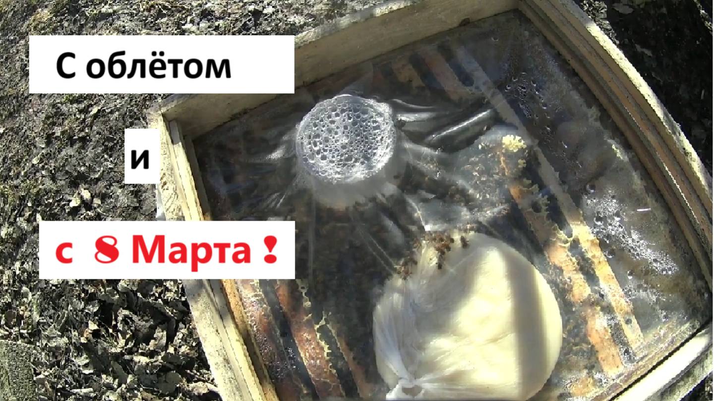 С облётом и с 8 Марта !