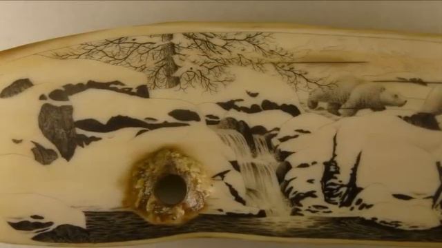 Scrimshaw Demonstration Russian Version  -  Polar Bear Scene