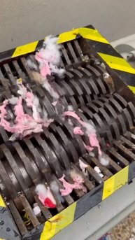 Shredding Plastic and Other Stuff _ Gojzer #short #doll