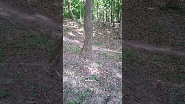 Мнение автора канала!