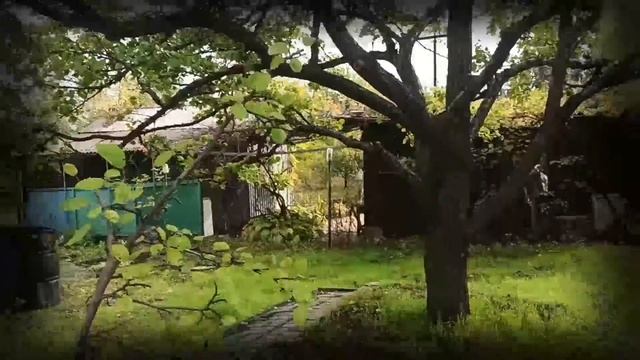 Эффективное удобрение и подкормка для ваших растений
