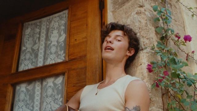 Shawn Mendes, Tainy — Summer Of Love (the-anisimov.ru)