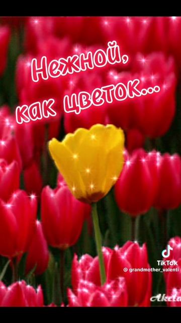 С 8 марта