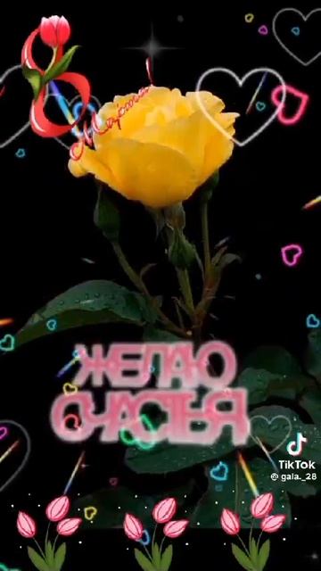 VID-20250308-WA0002.mp4