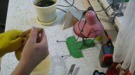 Часть 2 по выращиванию манго