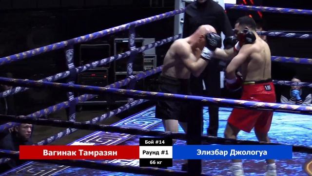 Вагинак Тамразян vs Элизбар Джологуа