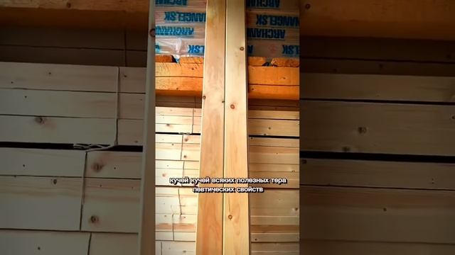 Вагонка Липа