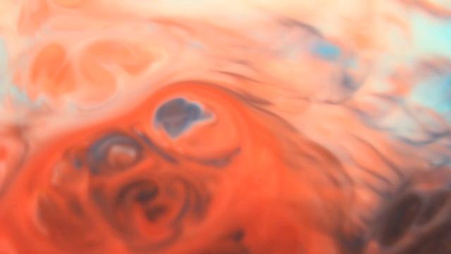 The Leers - Finally Happy (Visuals)
