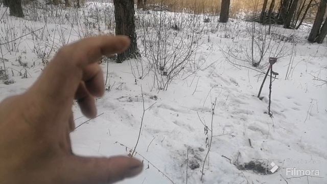 Разведка новых мест. 08.03.25.