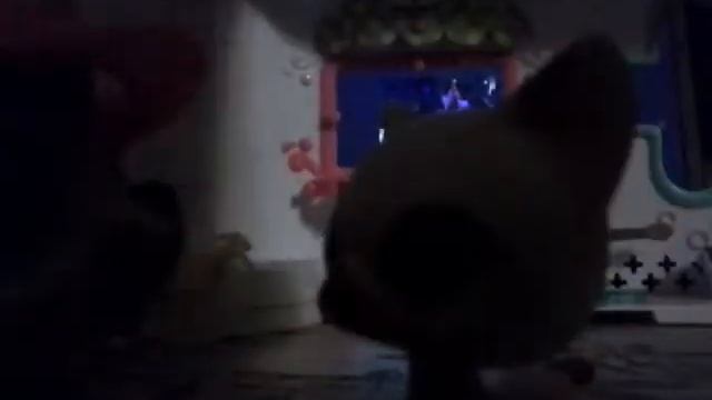 Lps Игра теней (4 серия 1 сезон) Дьявол на взлёте