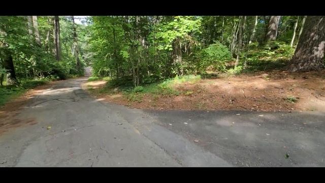 НАШ ДОМ.Влог из США.Прогулка по прохладному лесу в жарком сентябре!A walk through September's fores