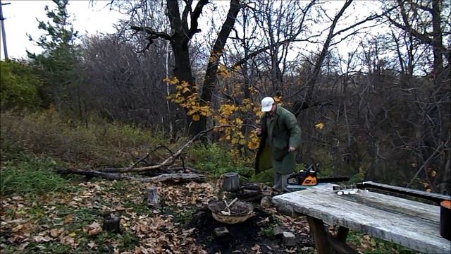 осень 2012