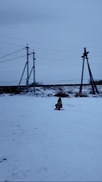 АМИНА МОМПУСЯМ МЕНИН