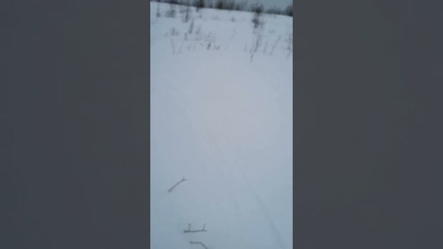 не густо но и не пусто!